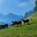 Lägenhet Oberstaudach Kitzbühel