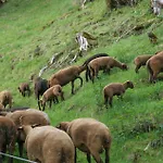 Oberstaudach Lägenhet Kitzbühel