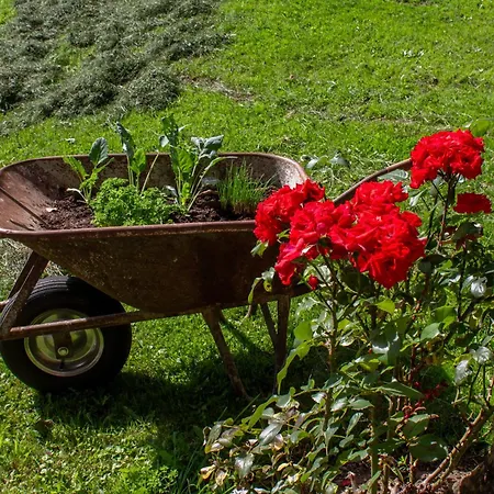 Oberstaudach Apartamento *