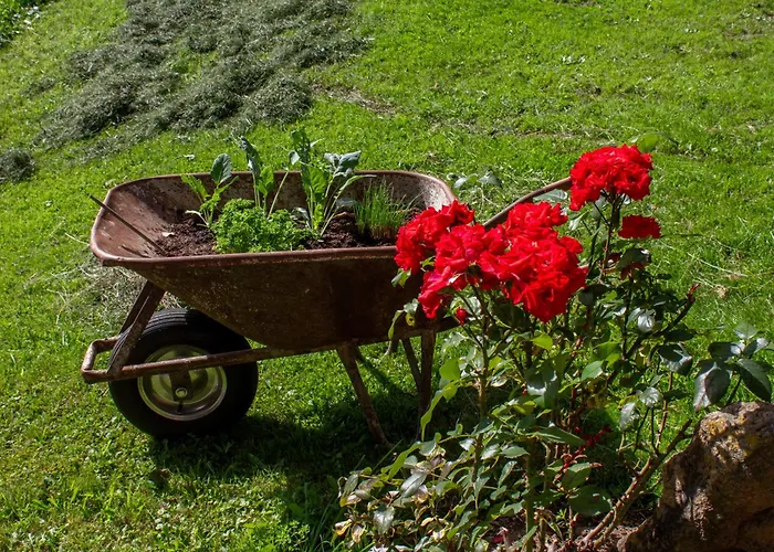 Oberstaudach Daire *